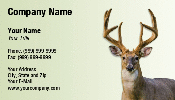Featured Designs | Nature | Wild |--| Animal | Antlered Deer | Antlers | At250017 | Big Game | Bruce Macqueen | Buck | Business | Card | Deer | Fantastic | Forest | Hunting | Male Animal | Mammal | Rack | Rut | Stag | Template | Velvet | Whitetail | Wildlife